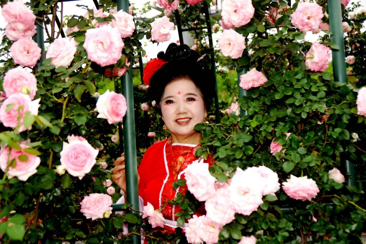 金银湖花中美女！