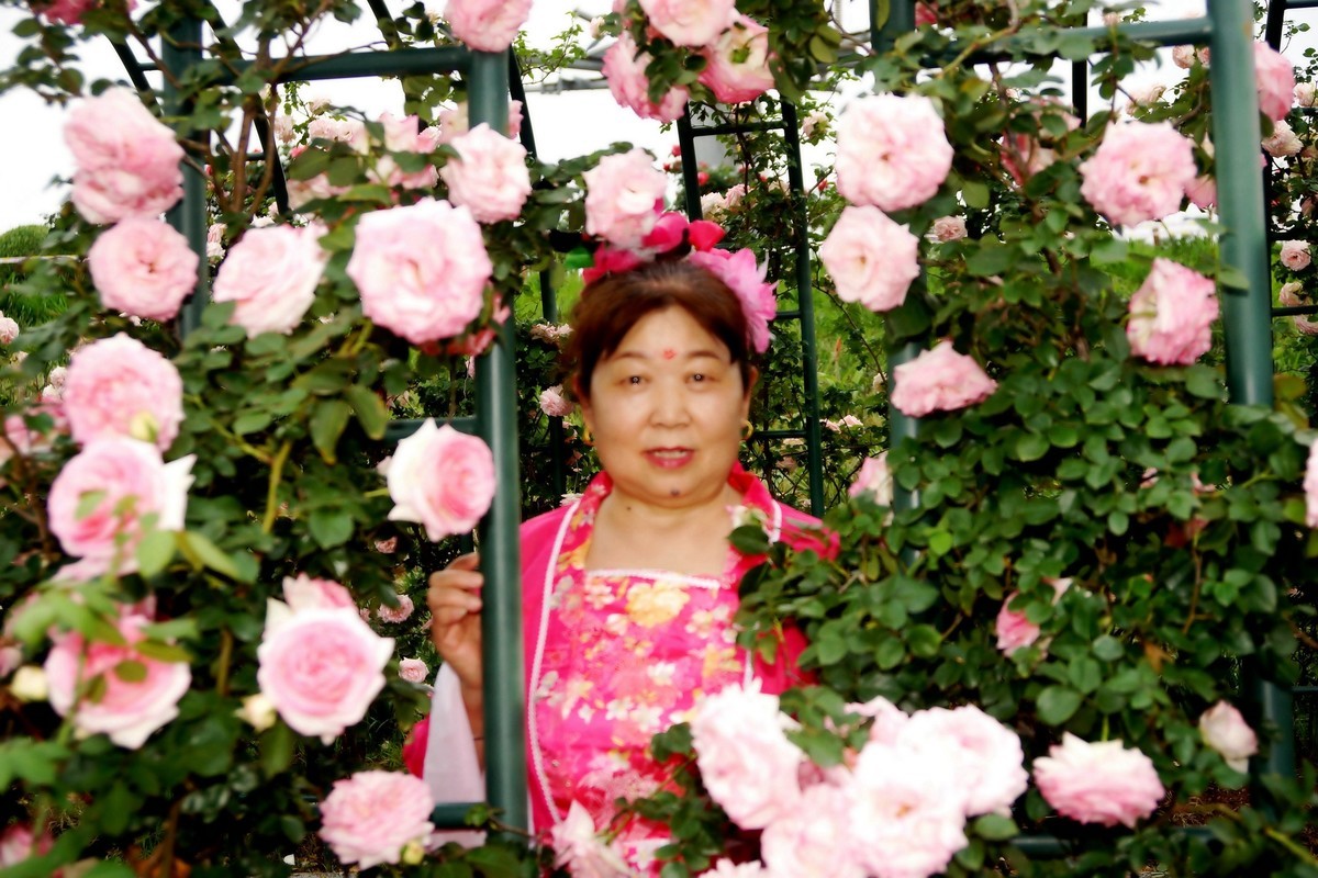 金银湖花中美女！