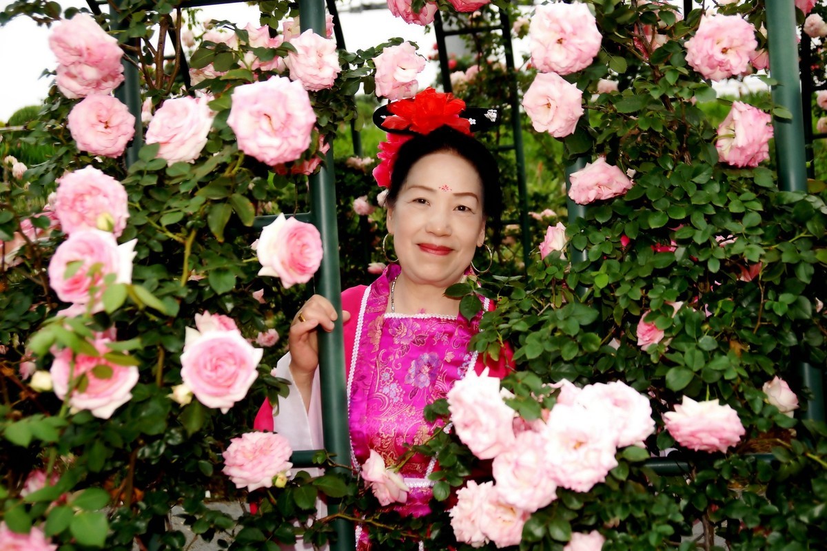 金银湖花中美女！