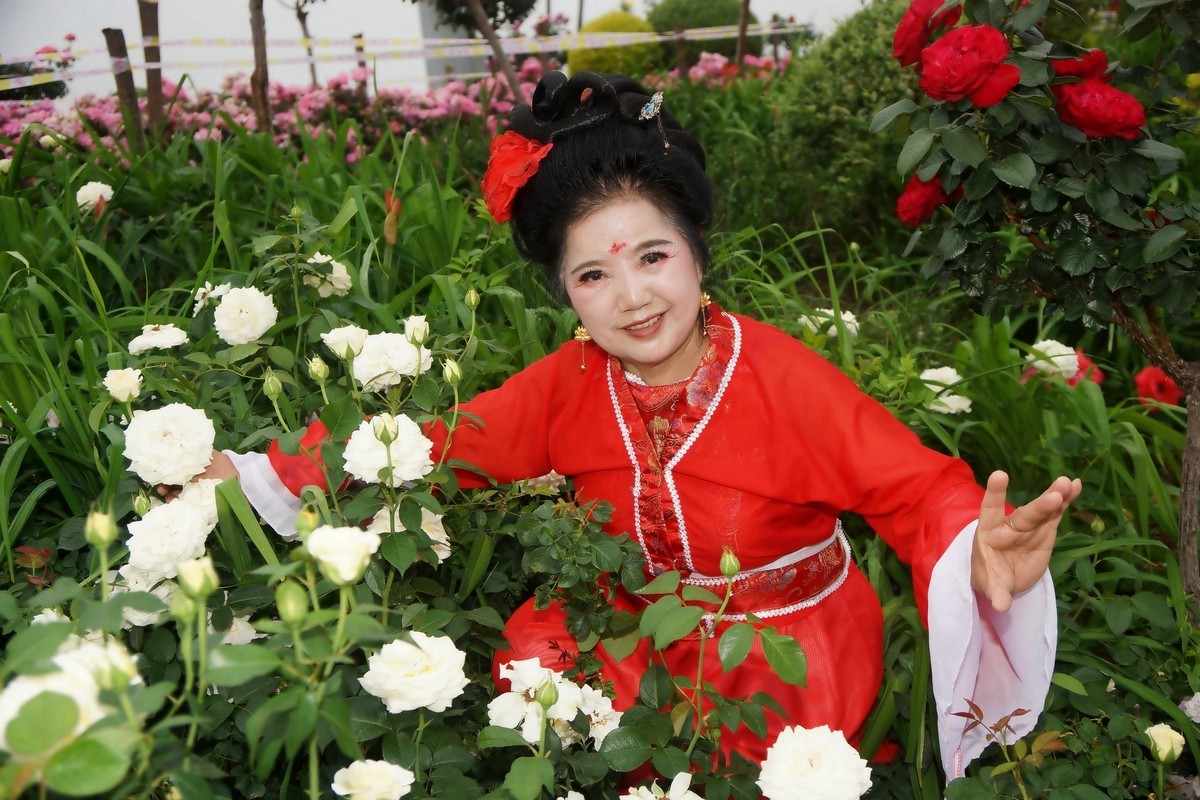 金银湖花中美女！