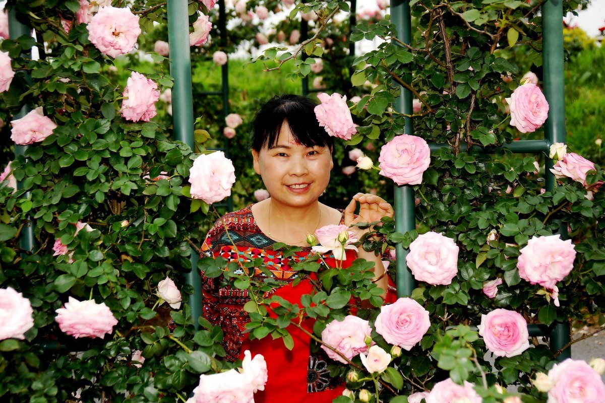 金银湖花中美女！