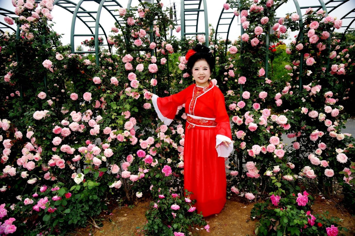 金银湖花中美女！