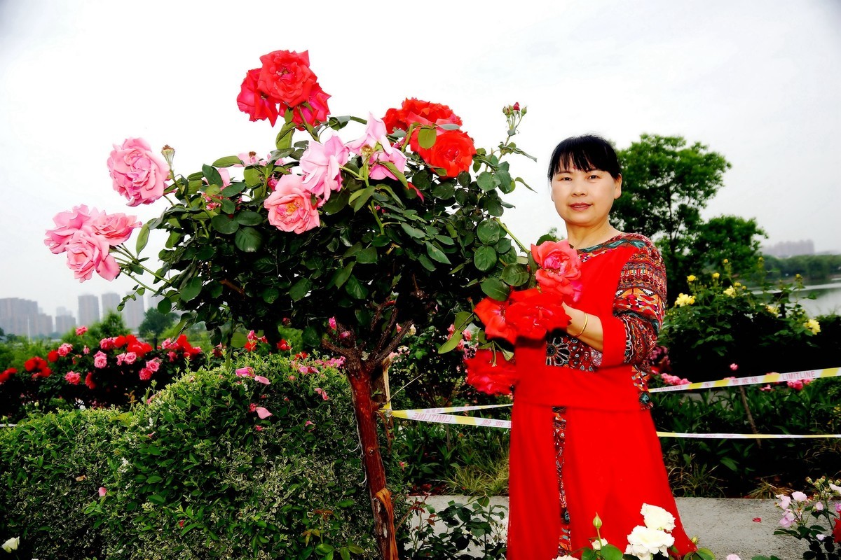 金银湖花中美女！