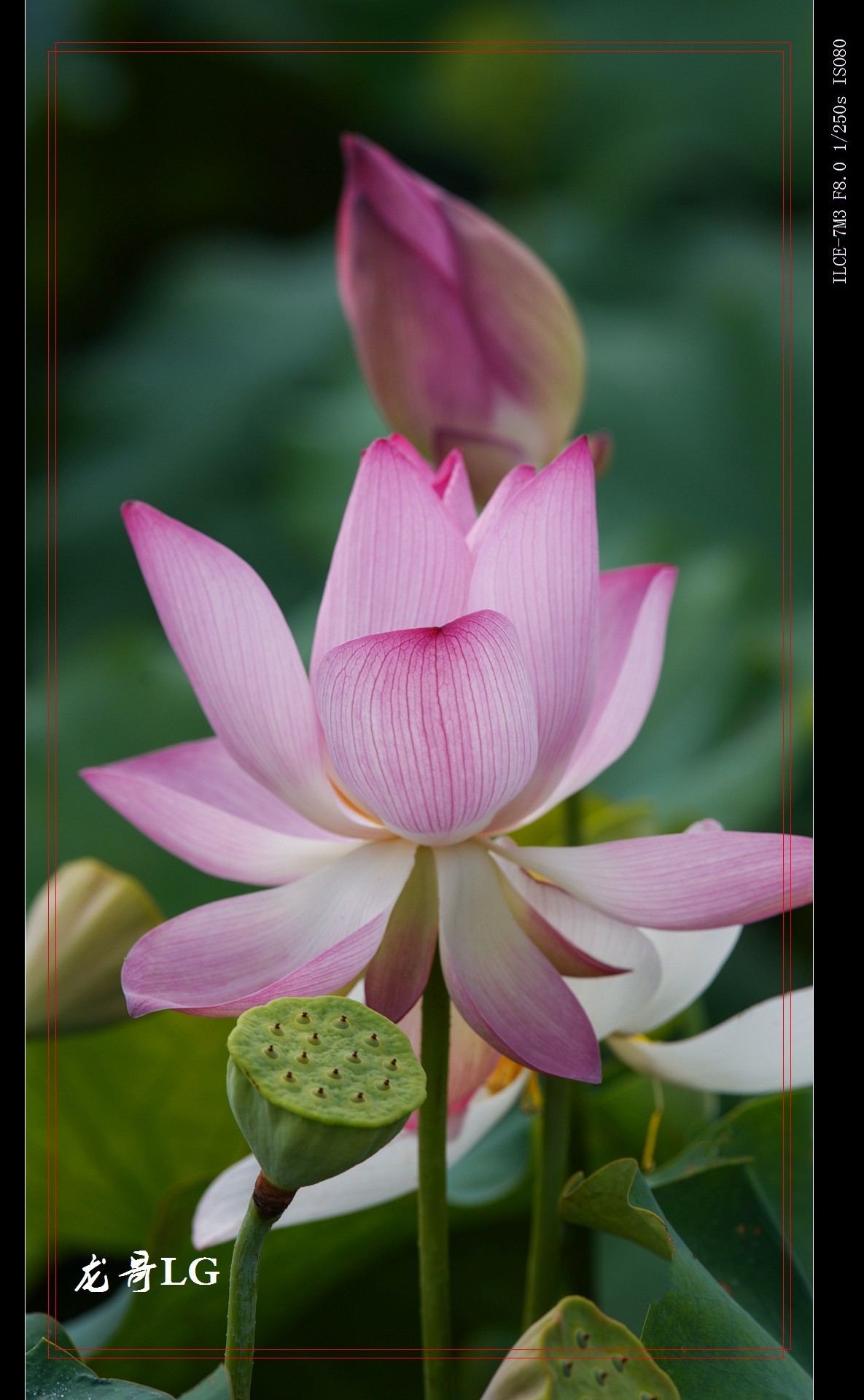 发一帖,庆祝R8开坛