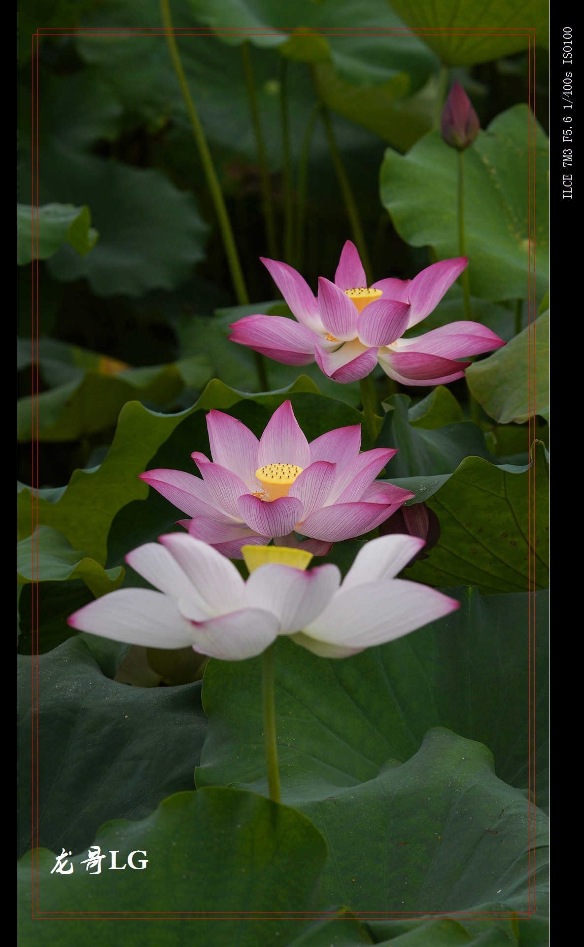 发一帖,庆祝R8开坛