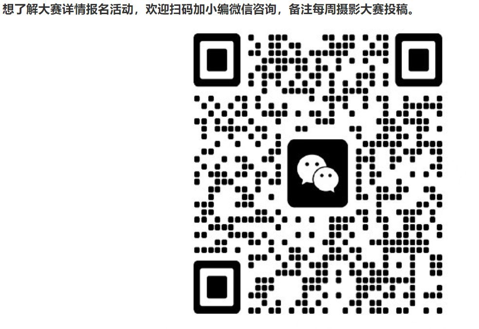 #盛夏#本周摄影主题作品征集“盛夏”，欢迎老师们来投稿