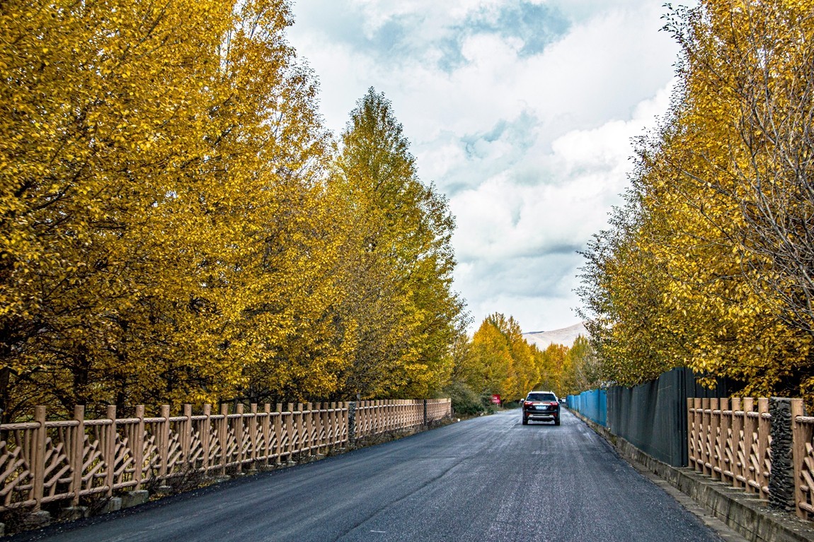 秋行川西高原--新都桥路拍【2】