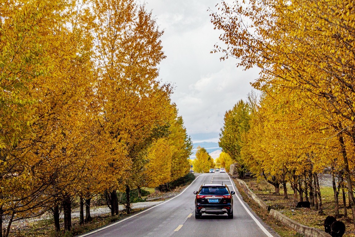 秋行川西高原--新都桥路拍【2】