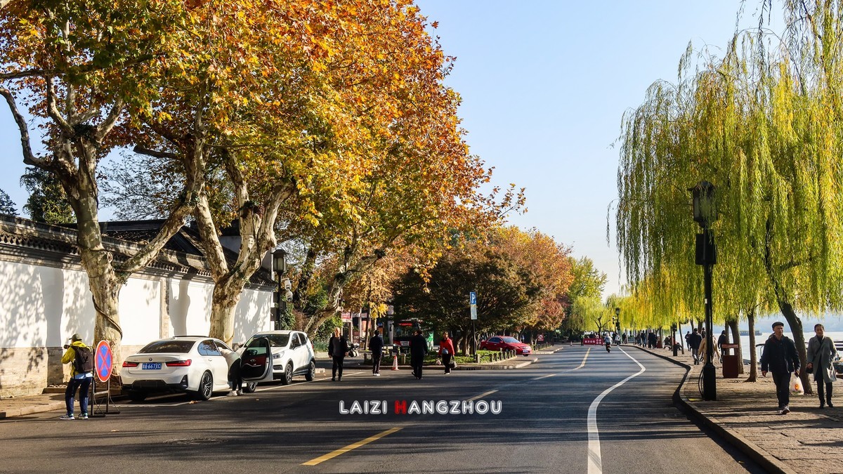 西湖秋色如约而至 (4)