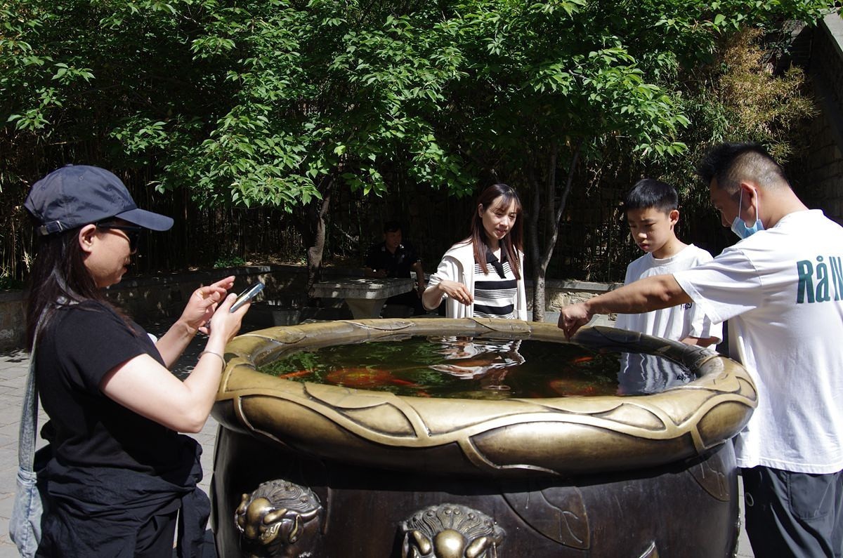 泰山红门游记-续