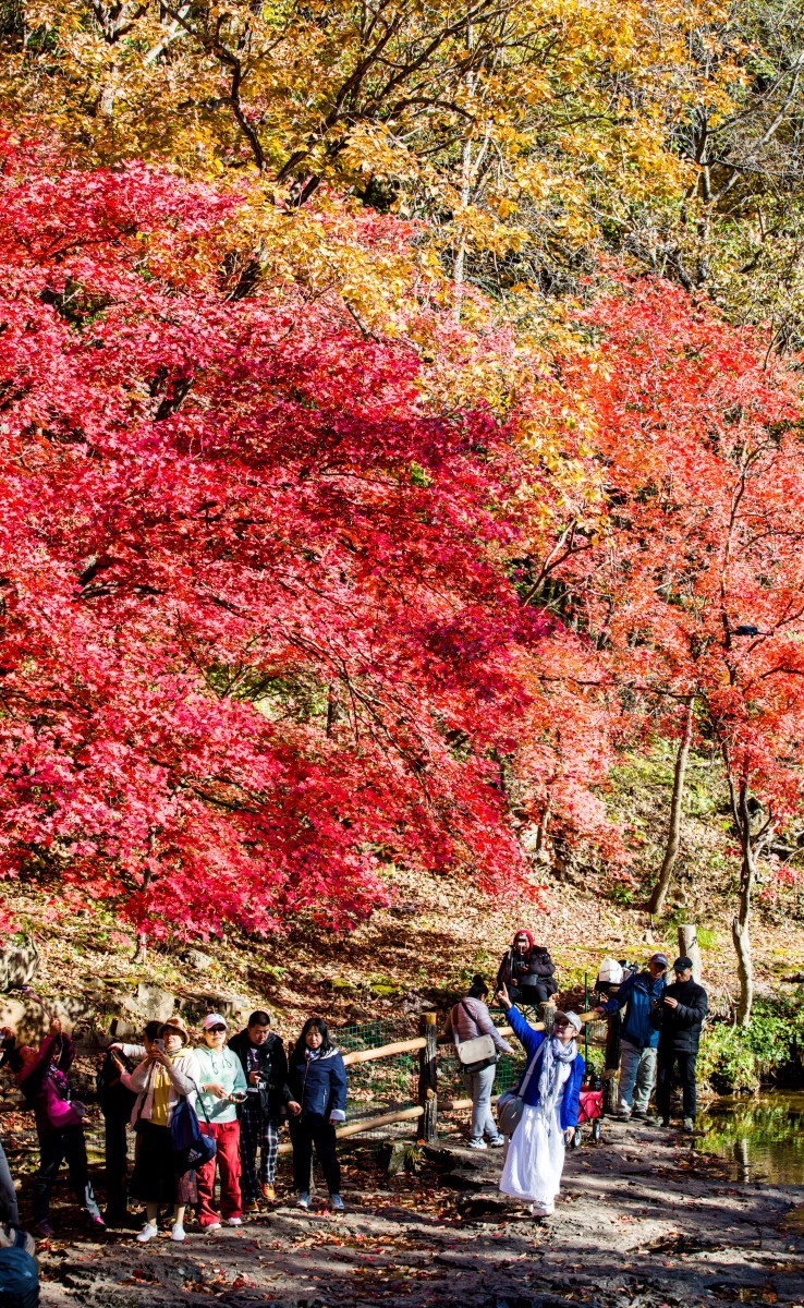 外出随拍（续204）.