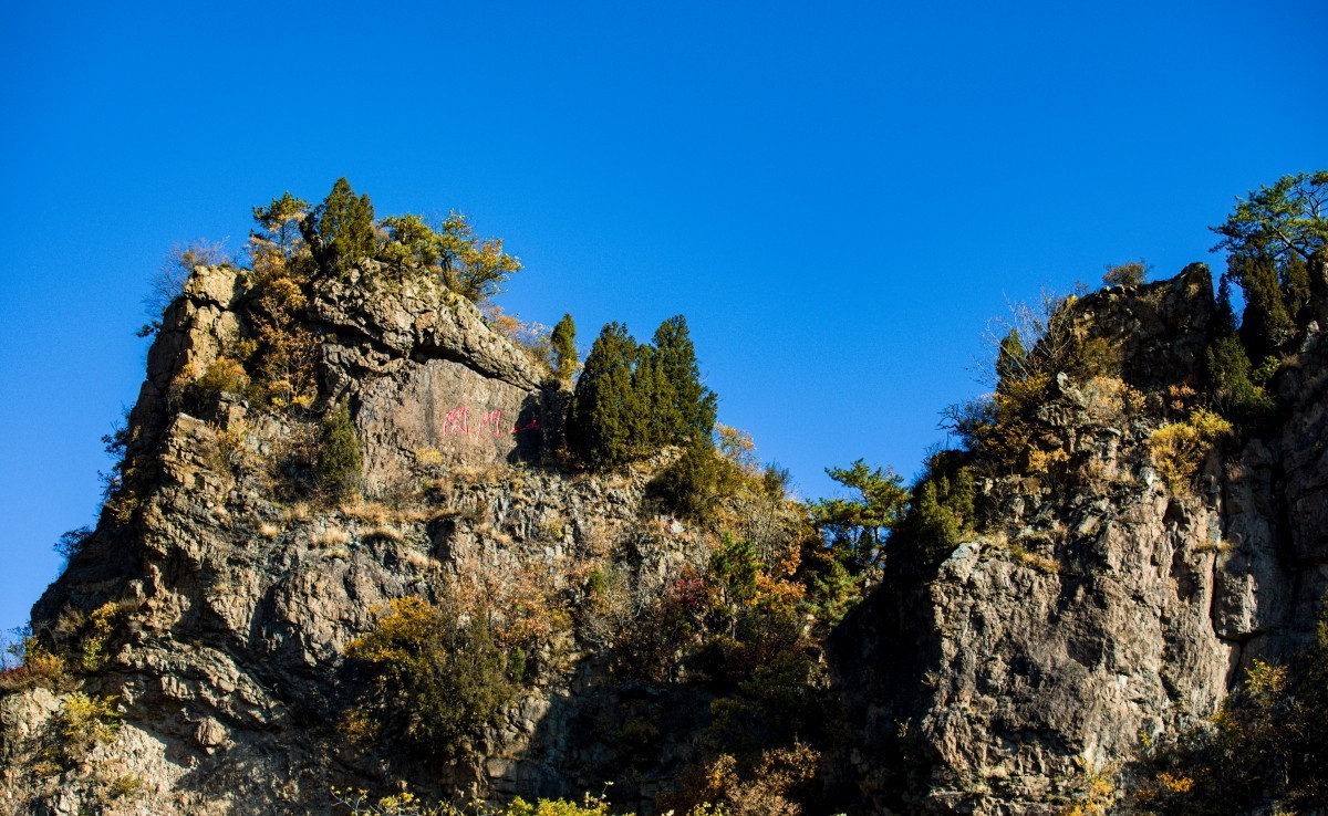 外出随拍（续204）.