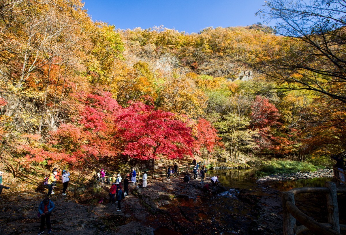 外出随拍（续204）.
