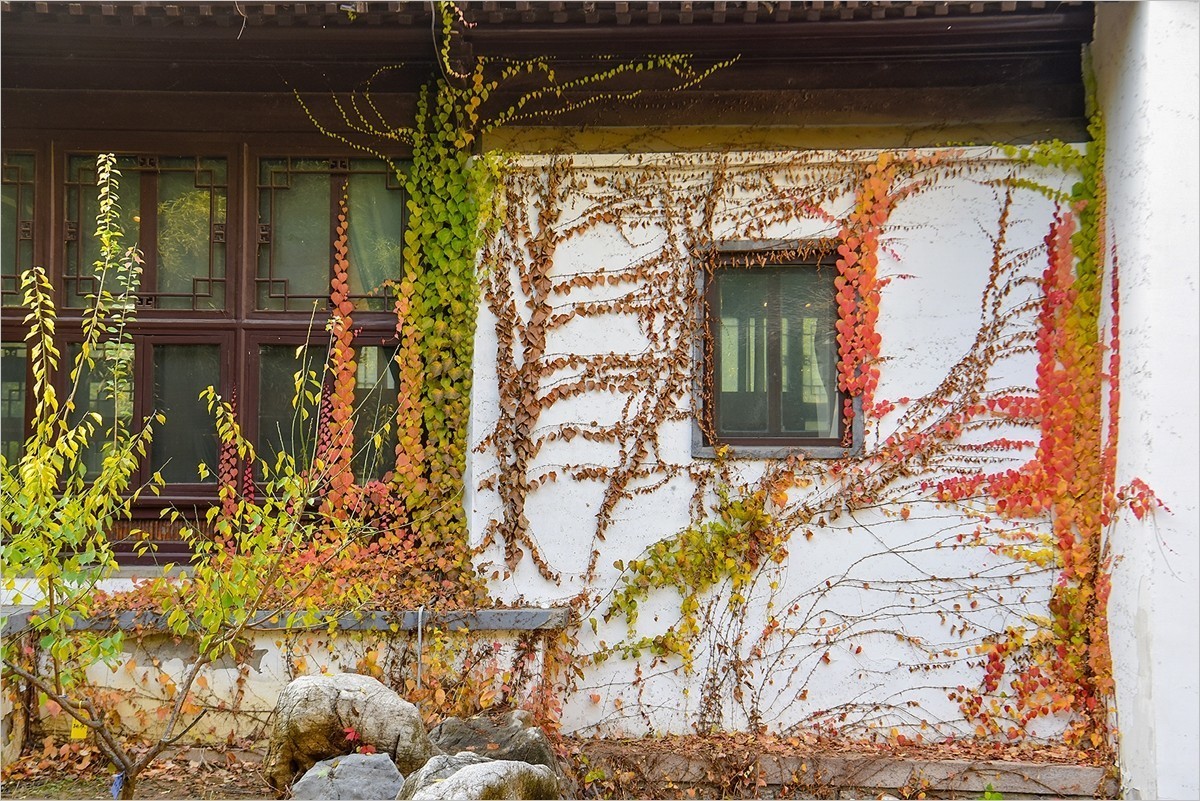 2024年第0867贴-北京紫竹院风光秋拍（1124）