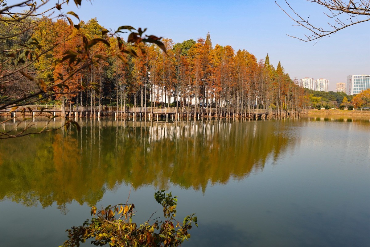 #留住美丽秋天#秋红,,秋黄