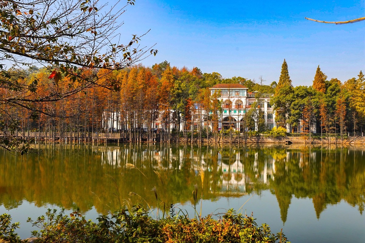 #留住美丽秋天#秋红,,秋黄