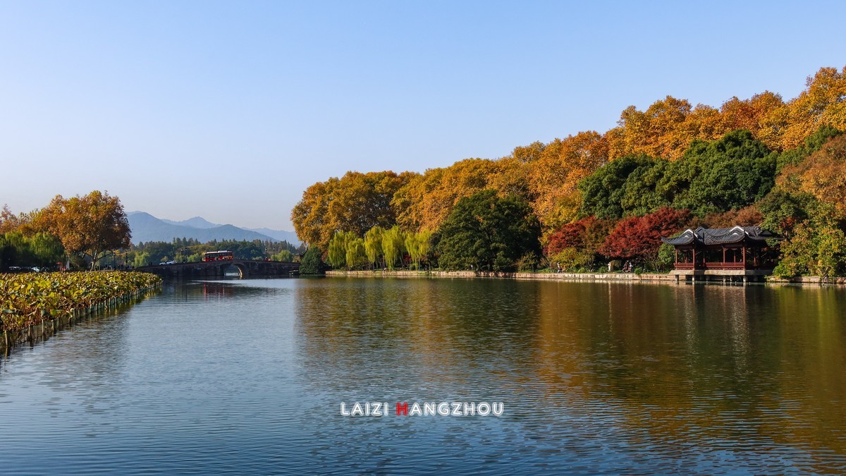 西湖秋色如约而至 (4)