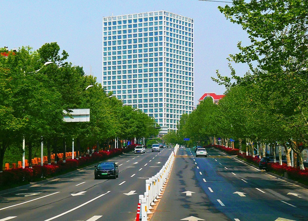 随拍杂拍街拍《风景，花草微距还有妹子》还有抓拍！哈哈