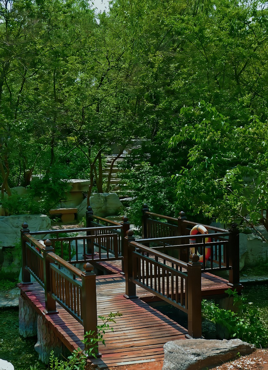随拍杂拍街拍《风景，花草微距还有妹子》还有抓拍！哈哈