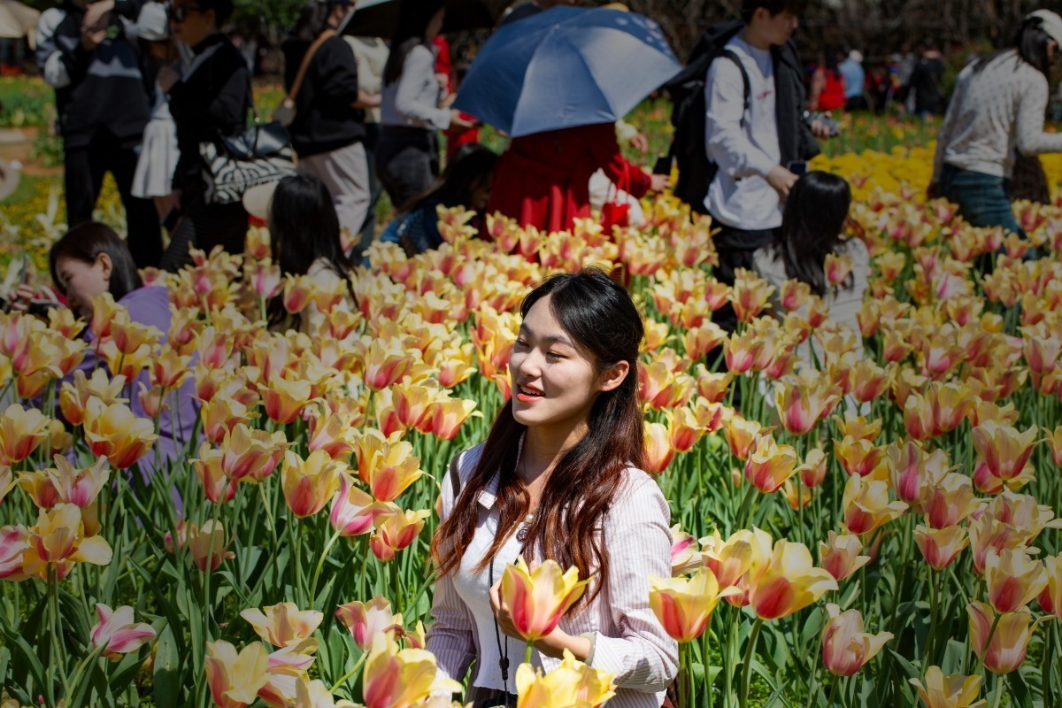 植物园拍郁金香27