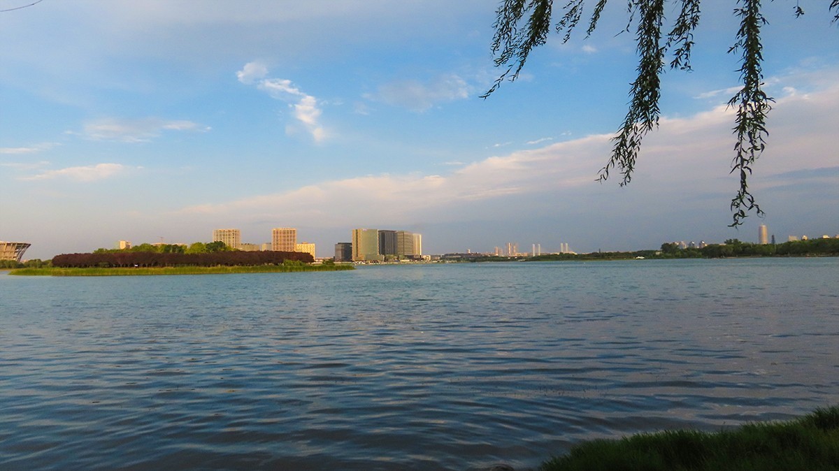 傍晚的湿地公园-中关村在线摄影论坛