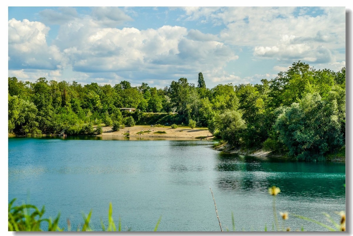 野湖绿影（南德）