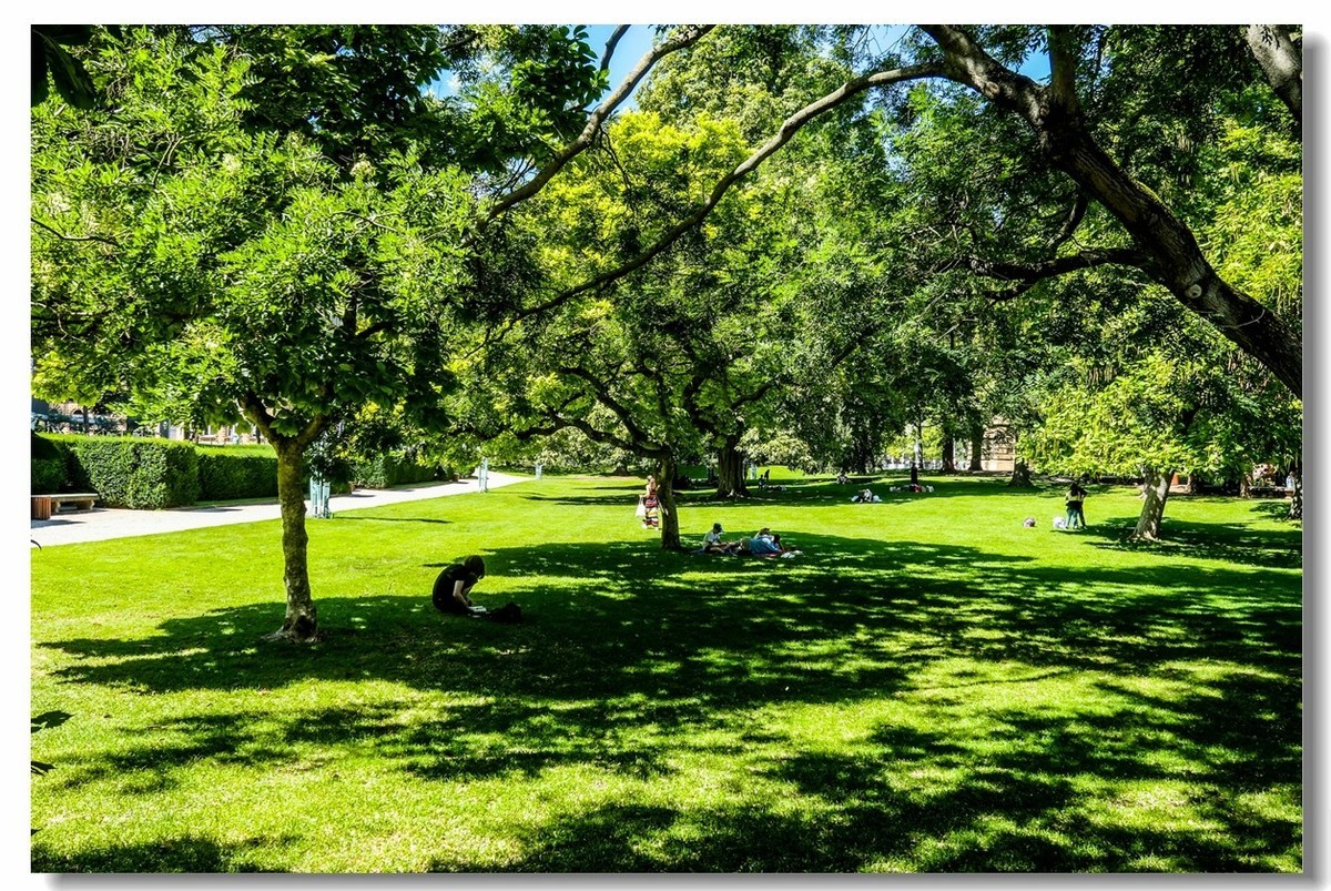 德中重镇曼海姆（Mannheim）