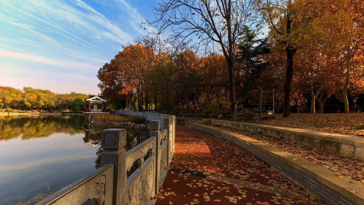 裕西公园的秋景