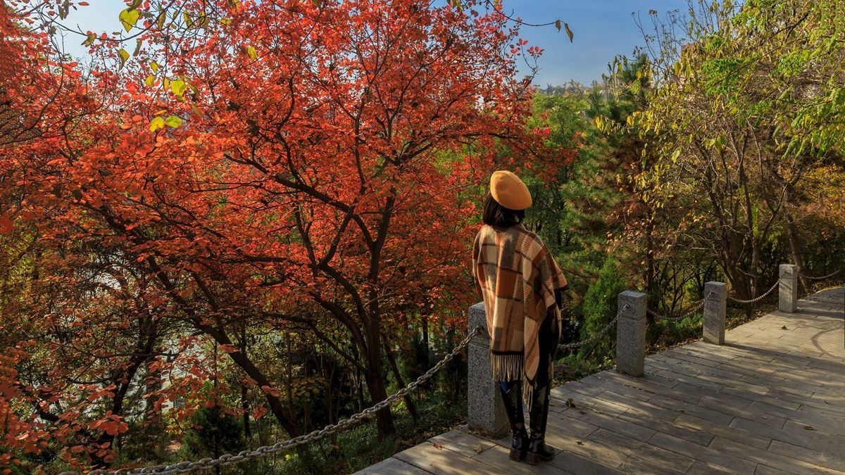 裕西公园的秋景