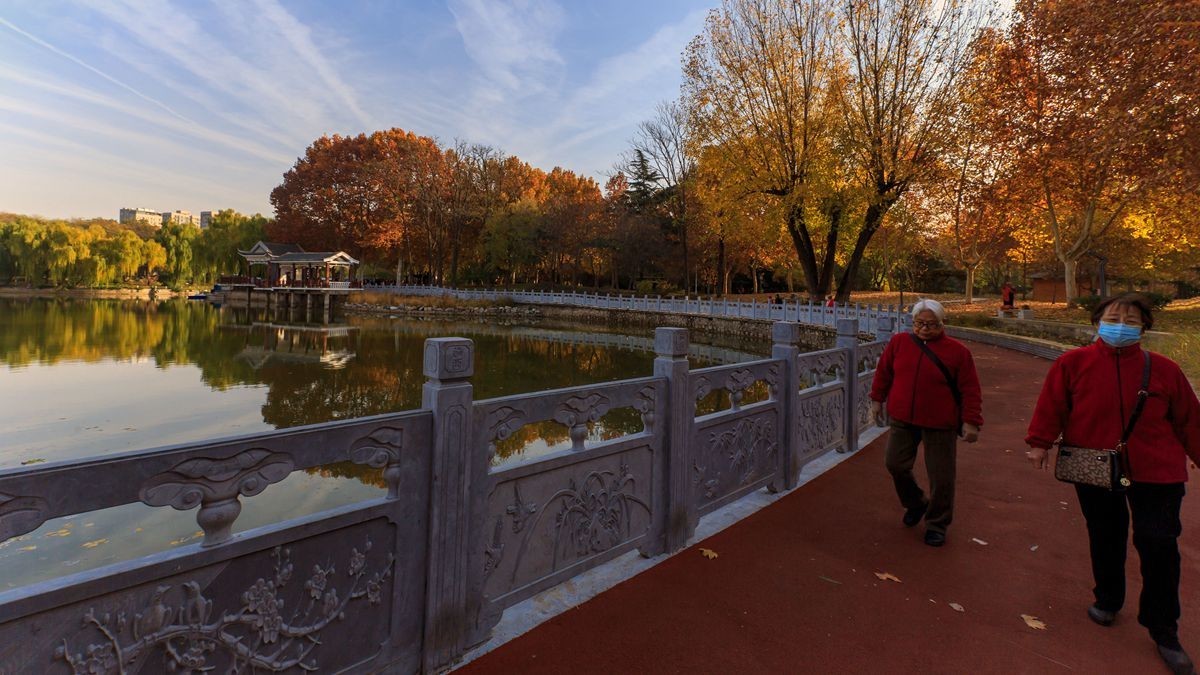 裕西公园的秋景