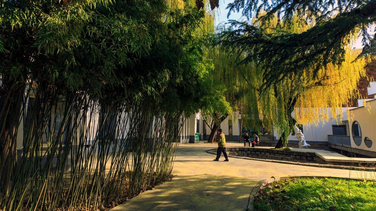 裕西公园的秋景