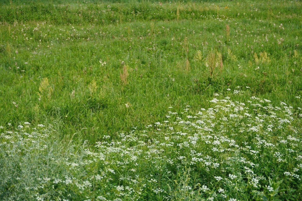 京北草原大汗行宫 | 策马迎春敖包祈福