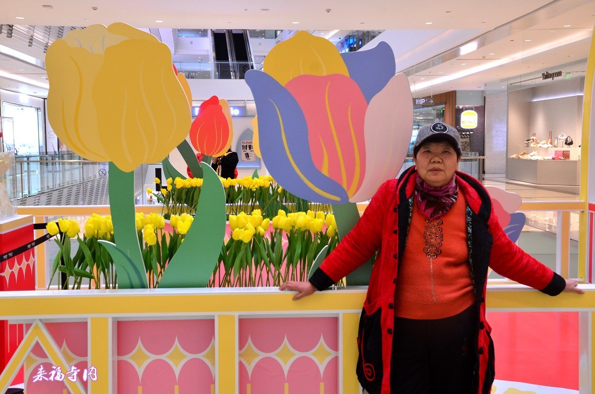 朝天门广场郁金香(一)