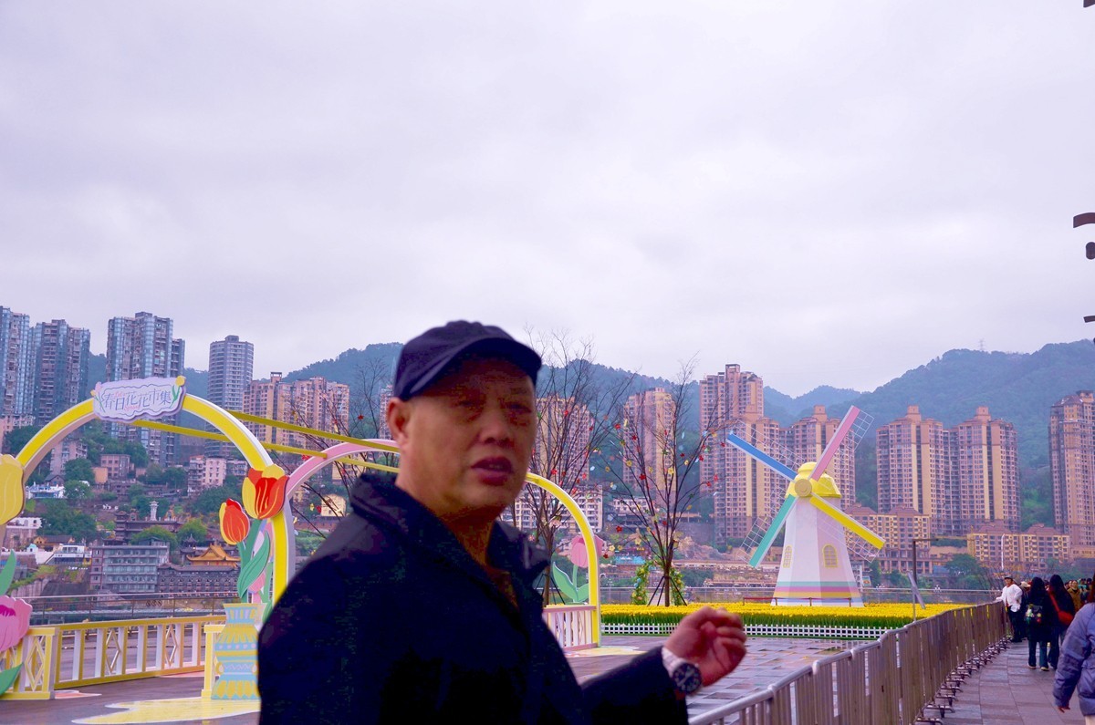 朝天门广场郁金香(一)