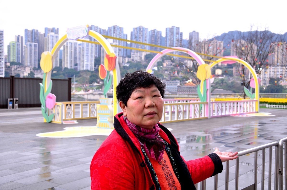 朝天门广场郁金香(一)