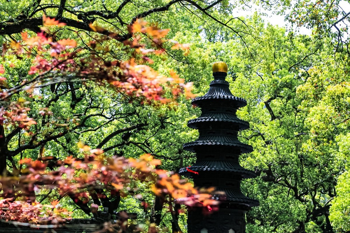 神秘普陀山（二）