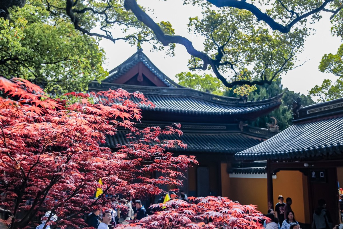 神秘普陀山（二）