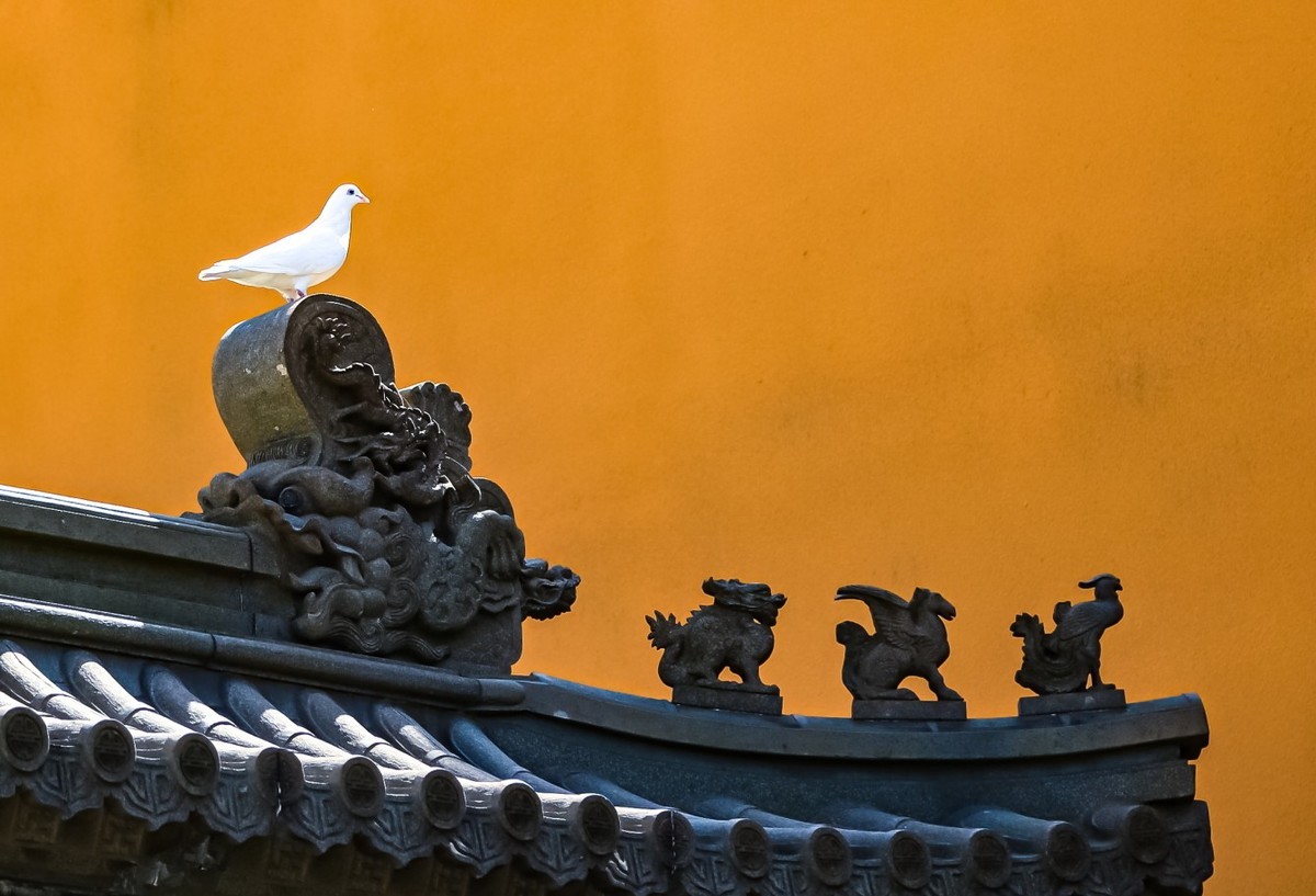 神秘普陀山（二）