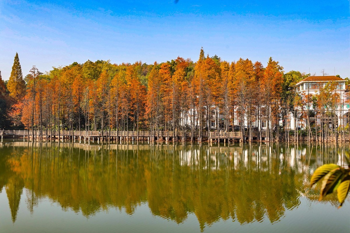 #留住美丽秋天#秋红,,秋黄