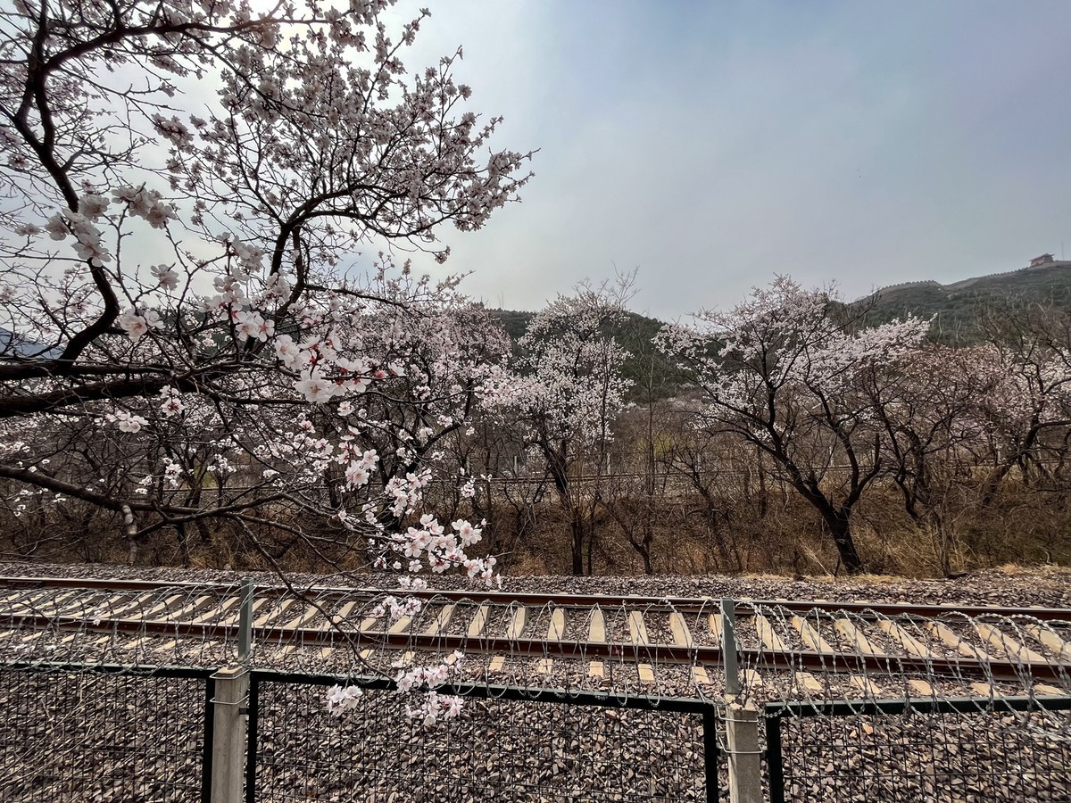 2023年第0255贴-居庸关纪实抓拍（0416F）