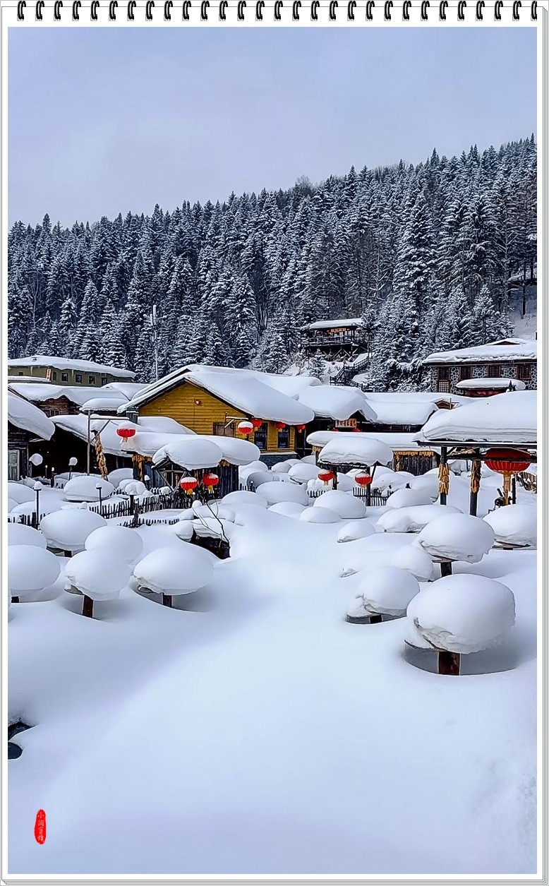 中国雪乡 手机壁纸图片