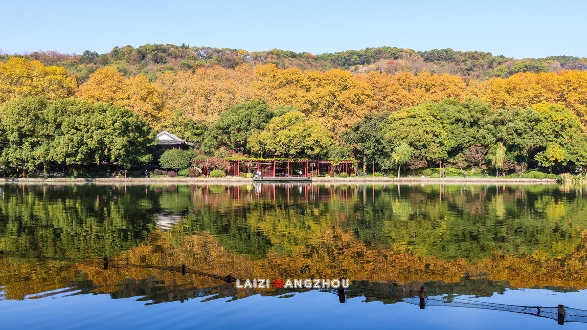 西湖秋色如约而至 (4)