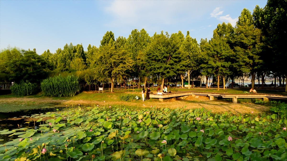 傍晚的湿地公园-中关村在线摄影论坛