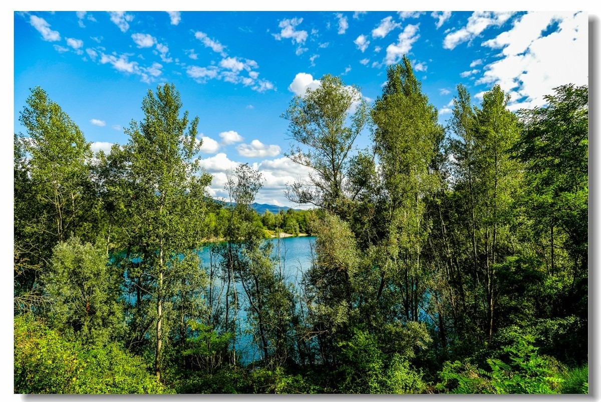 野湖绿影（南德）