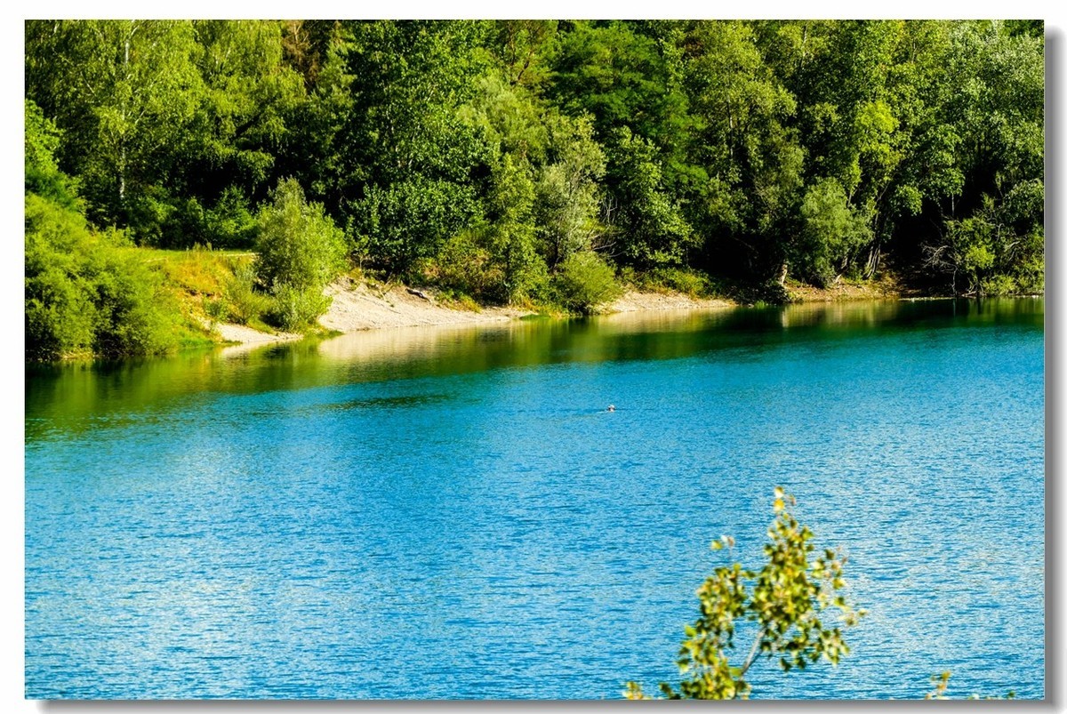 野湖绿影（南德）