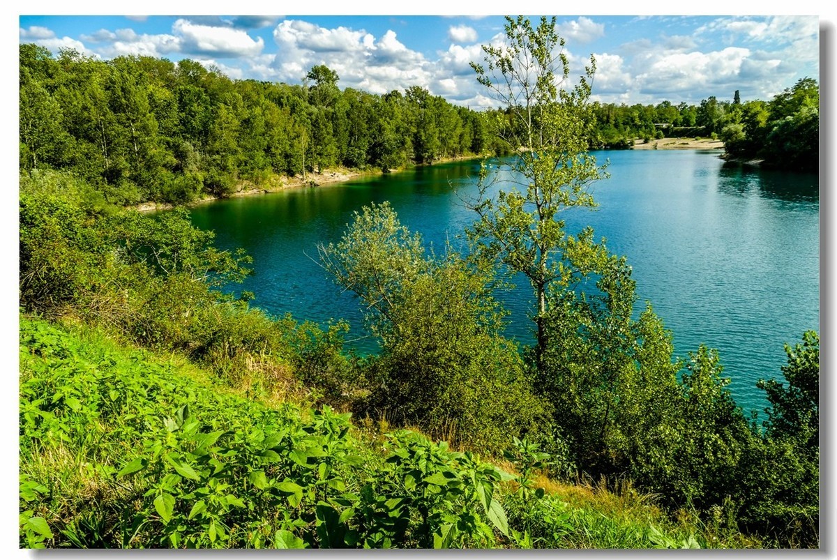 野湖绿影（南德）