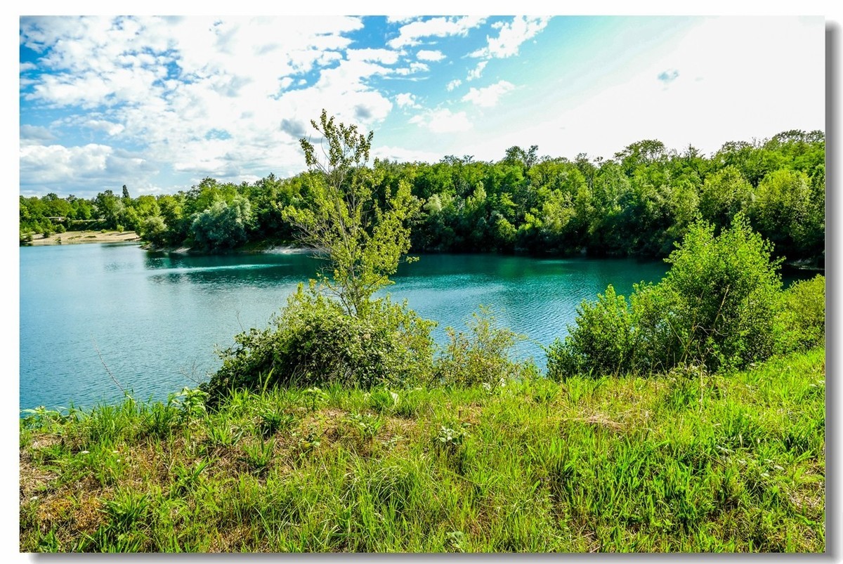 野湖绿影（南德）