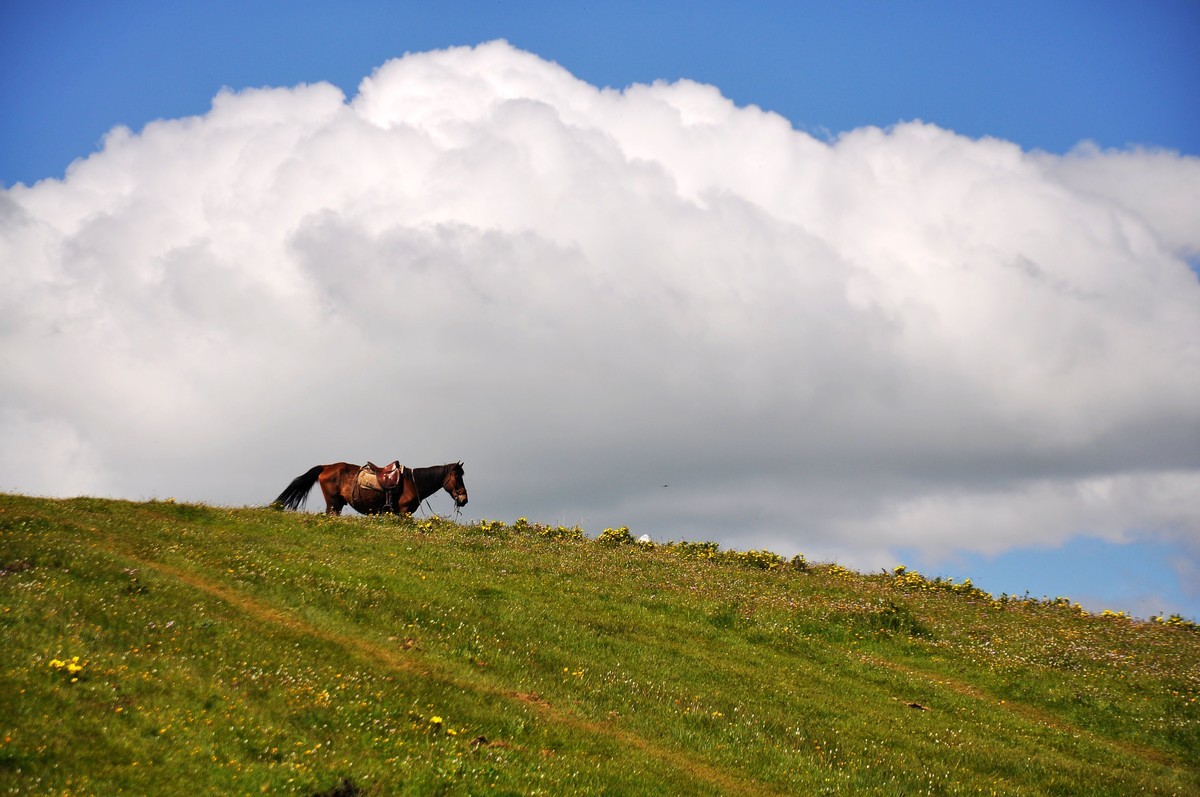 甘南玛曲县——阿万仓湿地公园