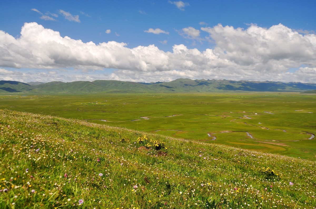 甘南玛曲县——阿万仓湿地公园