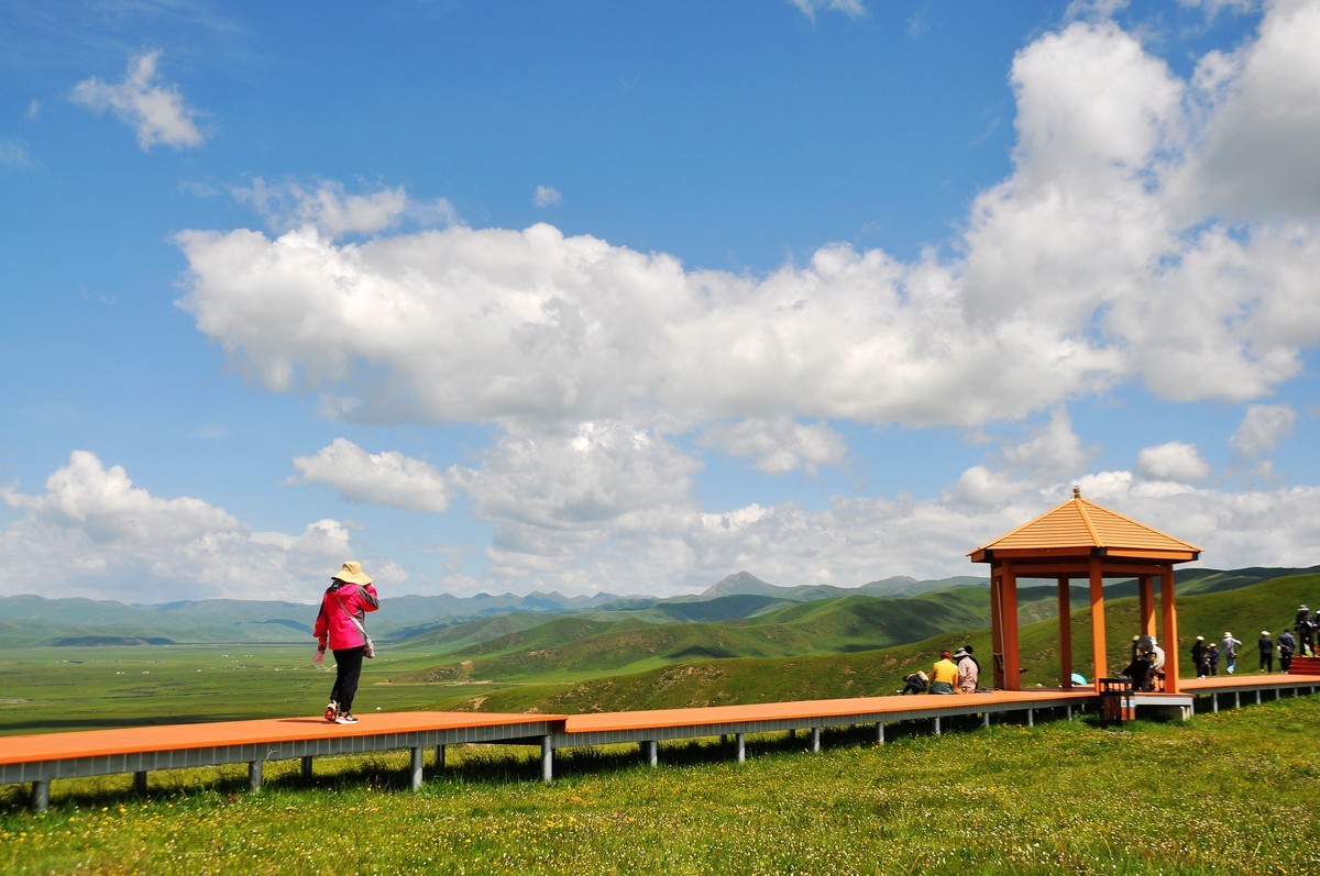 甘南玛曲县——阿万仓湿地公园